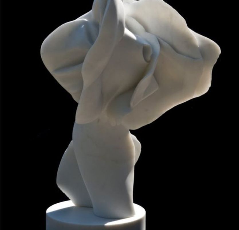 Beautiful Sculptures